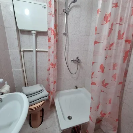 Na Stazi - Bela Reka, Kopaonik Brzeće