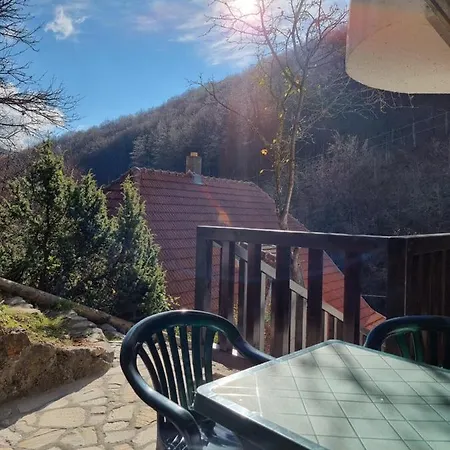 Apartment Na Stazi - Bela Reka, Kopaonik