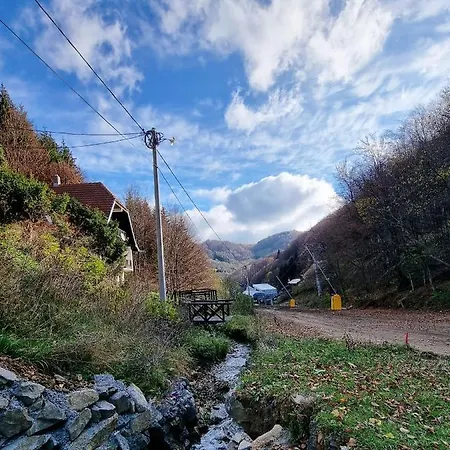 Na Stazi - Bela Reka, Kopaonik Brzeće